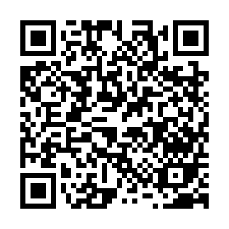 QR code for F393E
