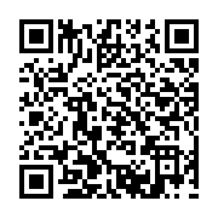 QR code for G013N