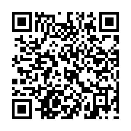 QR code for plate G01 4IO