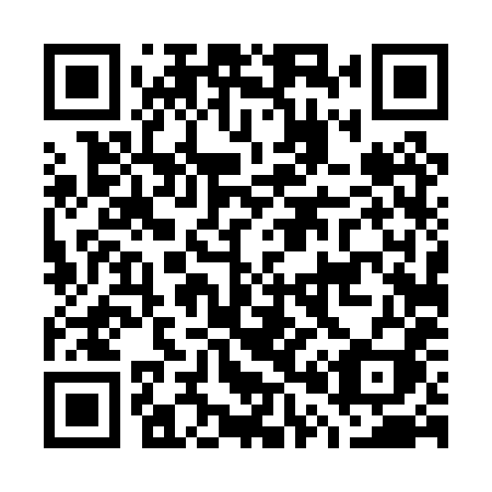 QR code for plate G04 0XI