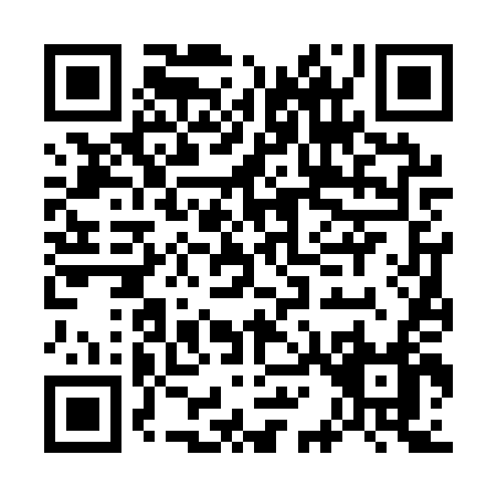 QR code for G161T