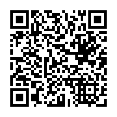 QR code for G20 3PI