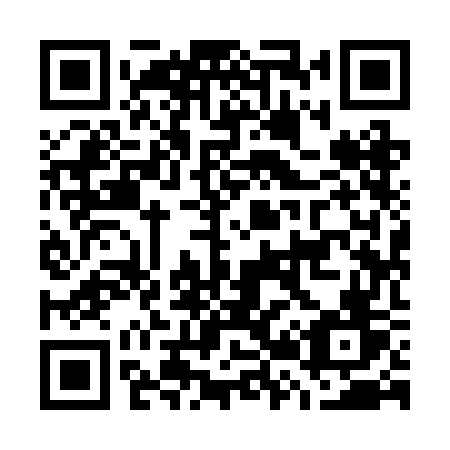 QR code for G29 2GV