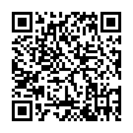 QR code for G290E