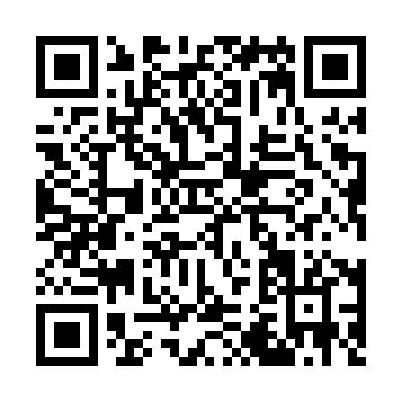 QR code for G290X