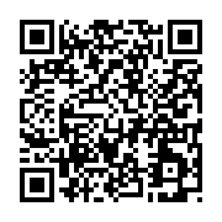 QR code for G291I
