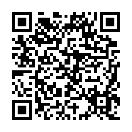 QR code for G313T