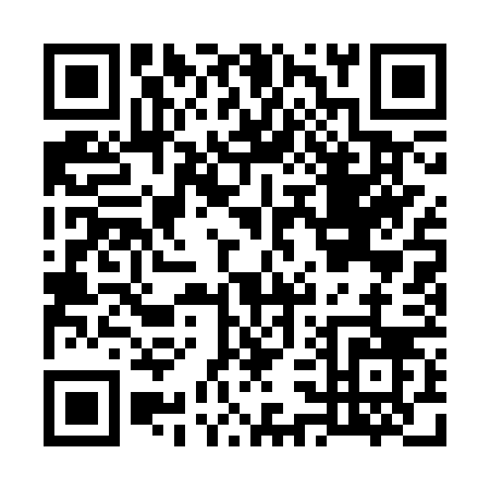 QR code for G313V