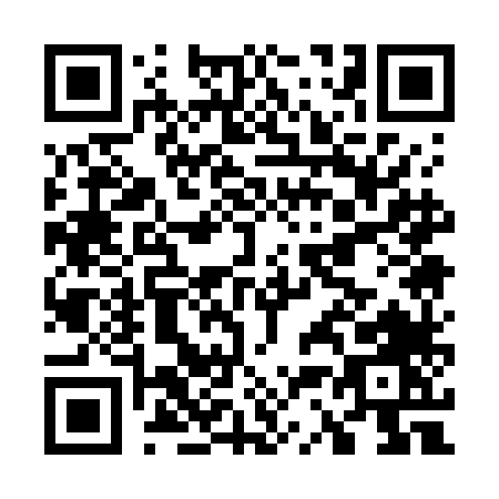 QR code for G317L