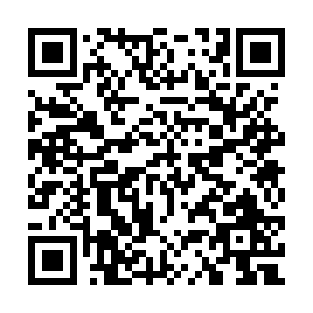 QR code for G335R