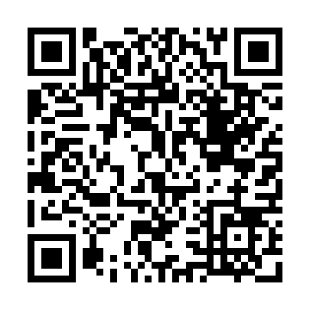 QR code for G343V