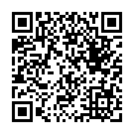 QR code for G381P