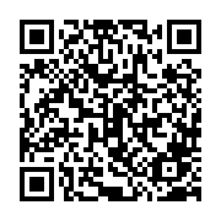 QR code for plate G38 1TV
