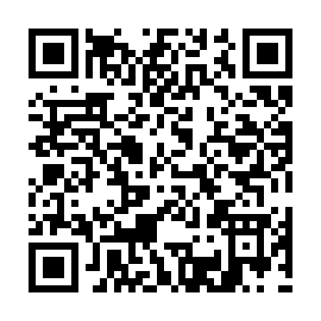 QR code for G383G
