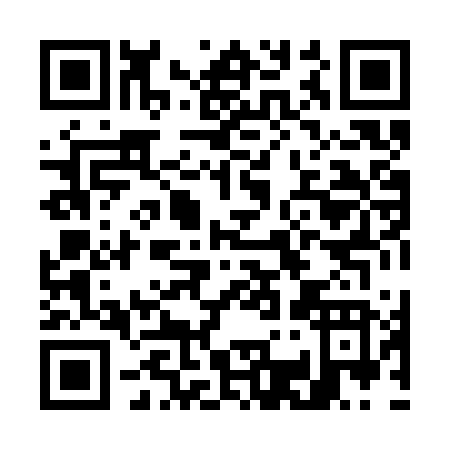 QR code for G383V