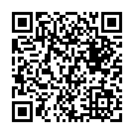 QR code for G386D