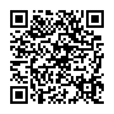 QR code for G387Q