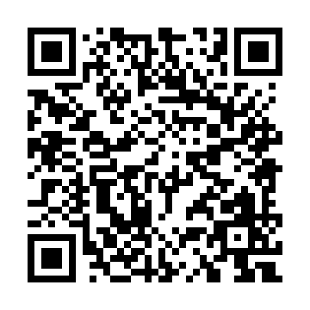 QR code for G387Y
