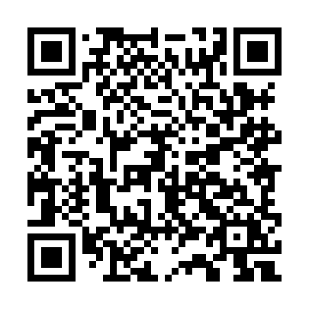 QR code for plate G38 8HX