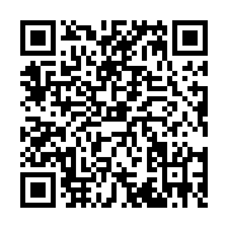 QR code for G390A