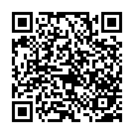 QR code for G391H