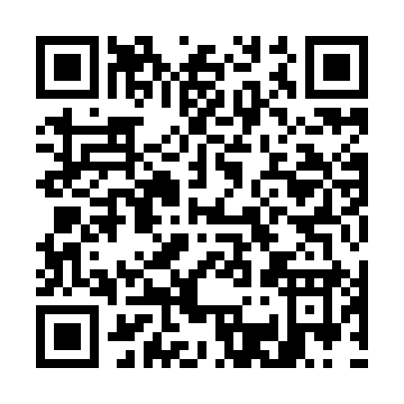 QR code for G399I