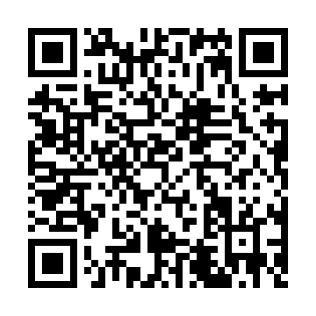 QR code for G409L