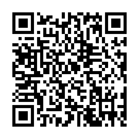 QR code for G411G