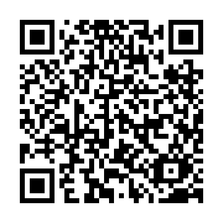 QR code for plate G41 3CO