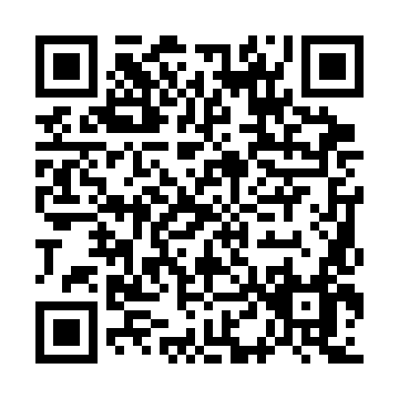 QR code for G413L