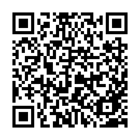 QR code for plate G41 3XG