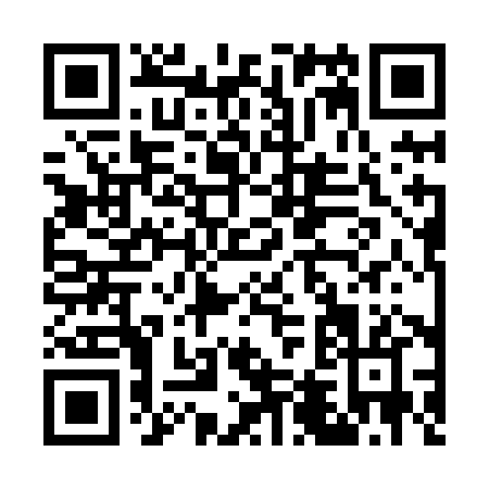 QR code for G438H