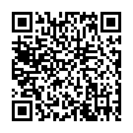 QR code for G441B