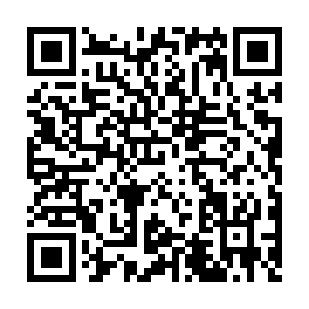 QR code for G441S