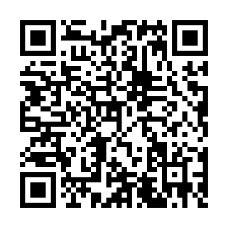 QR code for G481Z