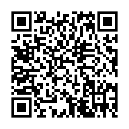 QR code for G491Y
