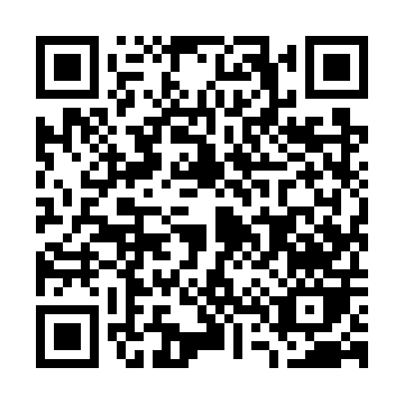 QR code for G497P