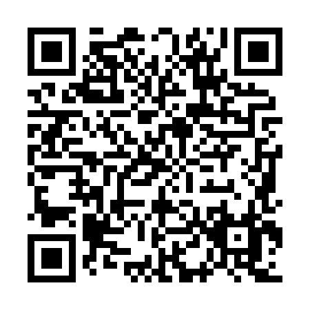 QR code for G498X