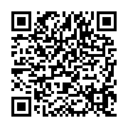 QR code for G509Q