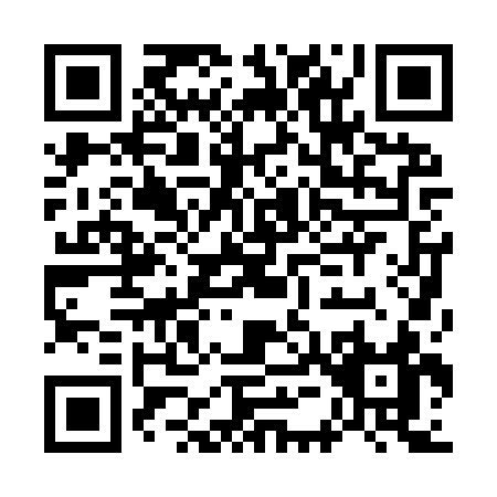 QR code for G509S