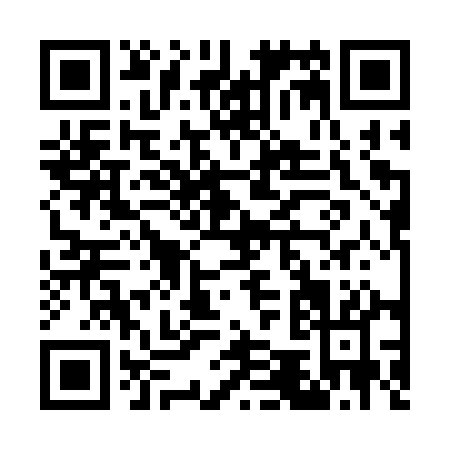 QR code for G533Q