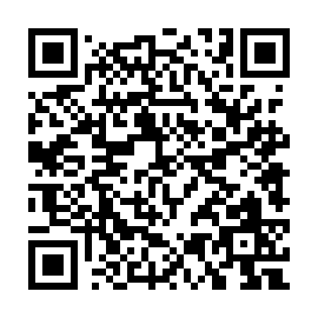 QR code for G541C