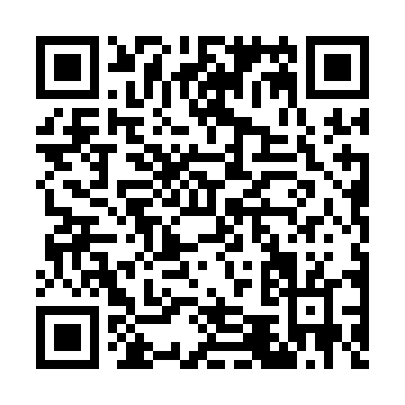 QR code for G541D