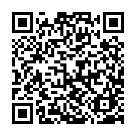 QR code for G541YC