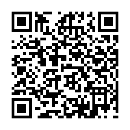 QR code for G611P