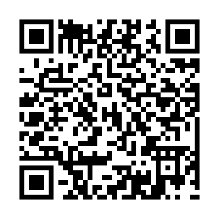 QR code for G729M