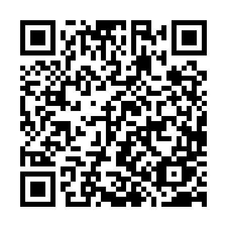 QR code for plate G80 1TU