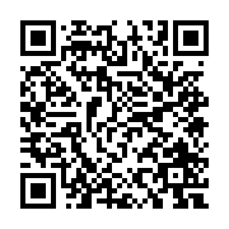 QR code for G810P