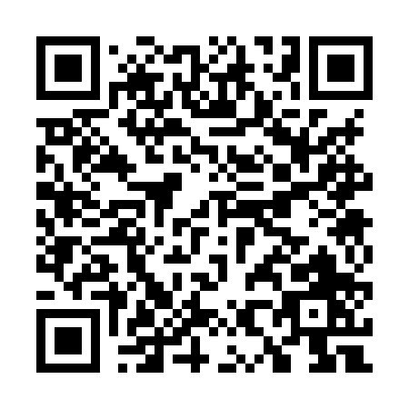 QR code for G838P