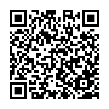 QR code for G838XV